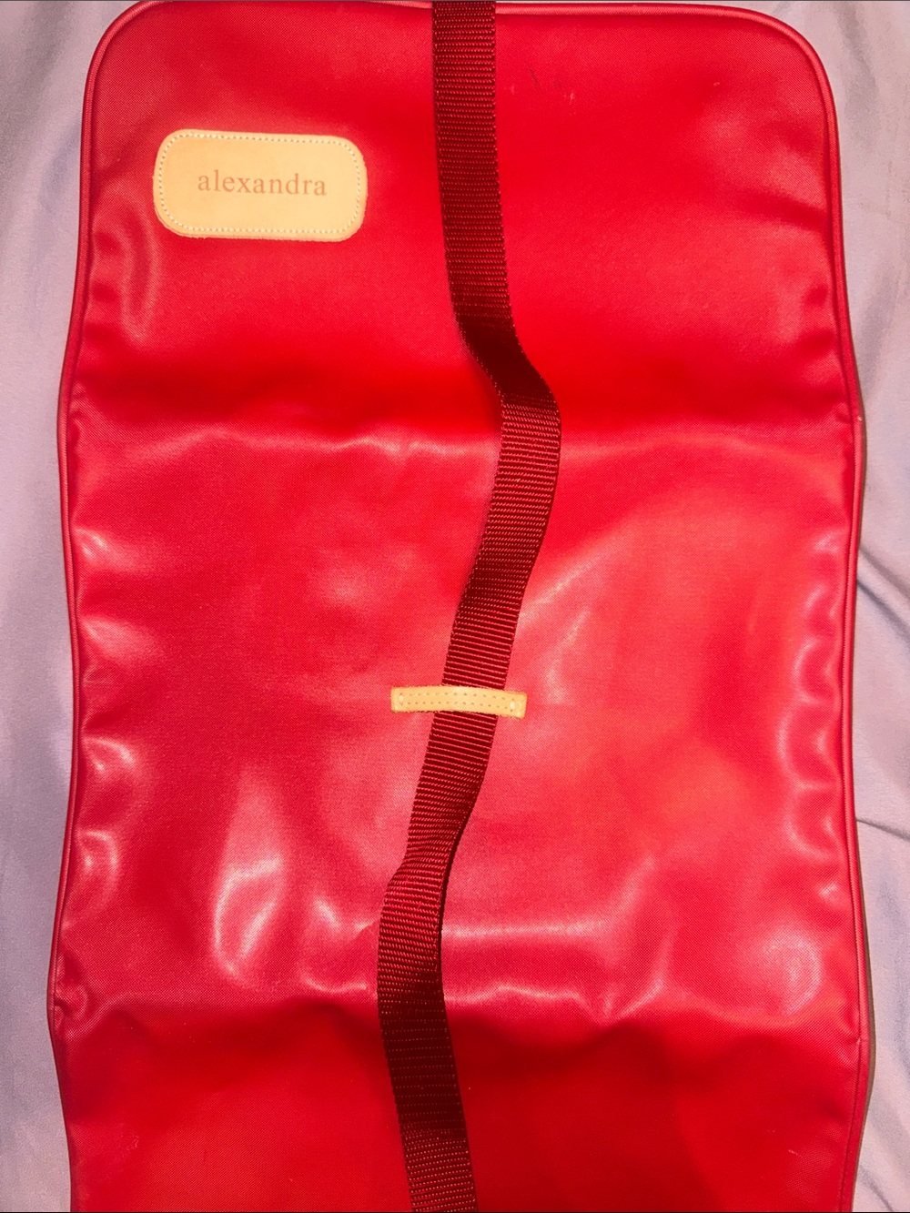 Jon Hart- RETIRED- Red Travel Bag Organizer